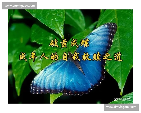 破茧成蝶:在磕碰中淬炼生命的韧性 破茧成蝶:在磕碰中淬炼生命的韧性