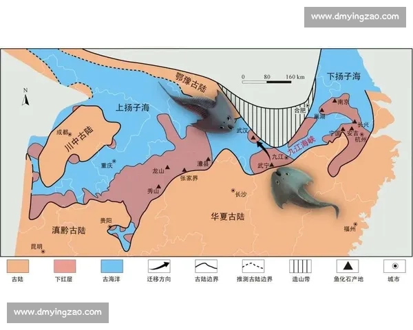 苏超地理解码:江苏 “伪沿海” 与 “散装省” 的多维真相 苏超地理解码:江苏 “伪沿海” 与 “散装省” 的多维真相